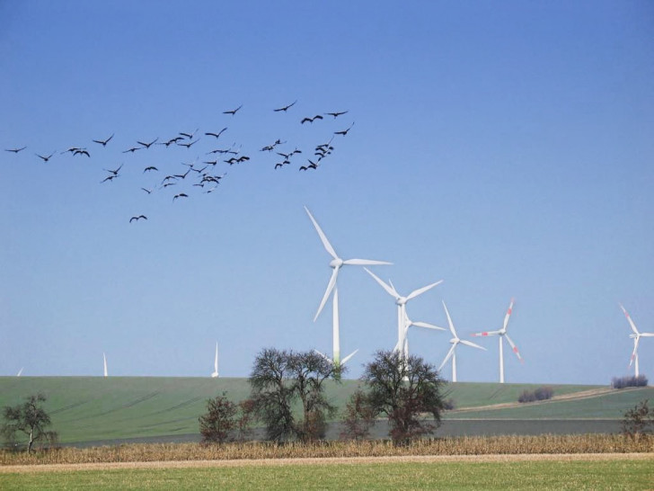 Bärbel Heidebroek, Geschäftsführerin des Ökostromanbieters Landstrom, hofft auf eine Besinnung der Politik nach der Corona-Krise, um den Klimakollaps zu verhindern.