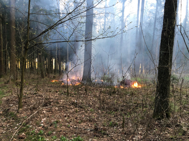 Zirka 15 Quadratmeter Wald- und Vegetationsfläche waren in Brand geraten.