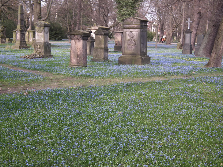 Der frühlingshafte Magnifriedhof.