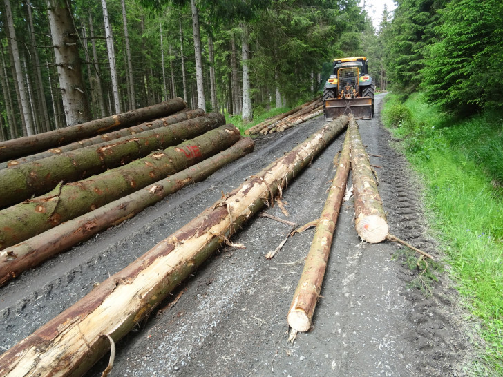 Der Holztransport wird in den nächsten Wochen noch zunehmen.