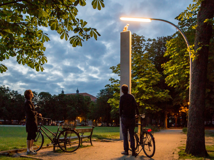 Mit dem abwechslungsreichen Führungsprogramm können Besucherinnen und Besucher den 5. Lichtparcours auf vielfältige Art und Weise erleben.