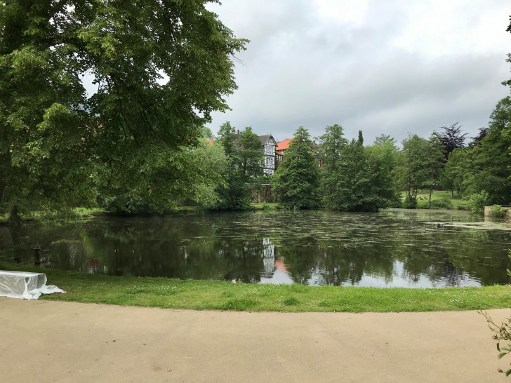 Wie eine Analyse zeigt, hat das Wasser im Kahnteich eine gute Qualität.