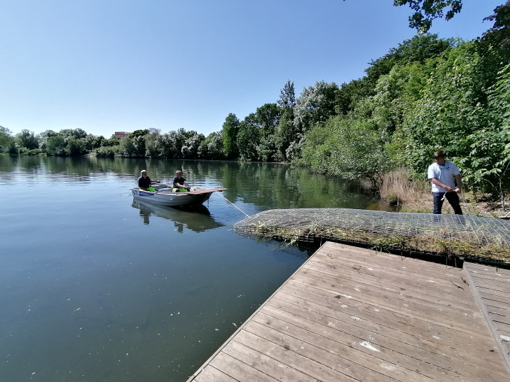 Mitarbeiter der WEB ziehen eine bepflanzte schwimmende Insel in den Neuen Teich. Archivbild.