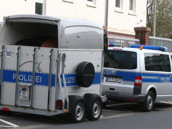 Die Polizei in Peine wird von der Reiterstaffel unterstützt. (Archivbild)
