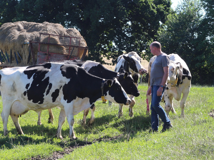Milchbauer Erich Gehrke auf der Weide. Seine Tiere können tagsüber selbst entscheiden, ob sie auf die Weide oder in den Stall wollen.