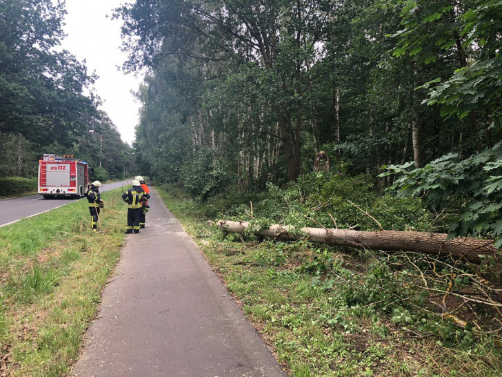 Die Feuerwehr machte den Weg wieder frei.