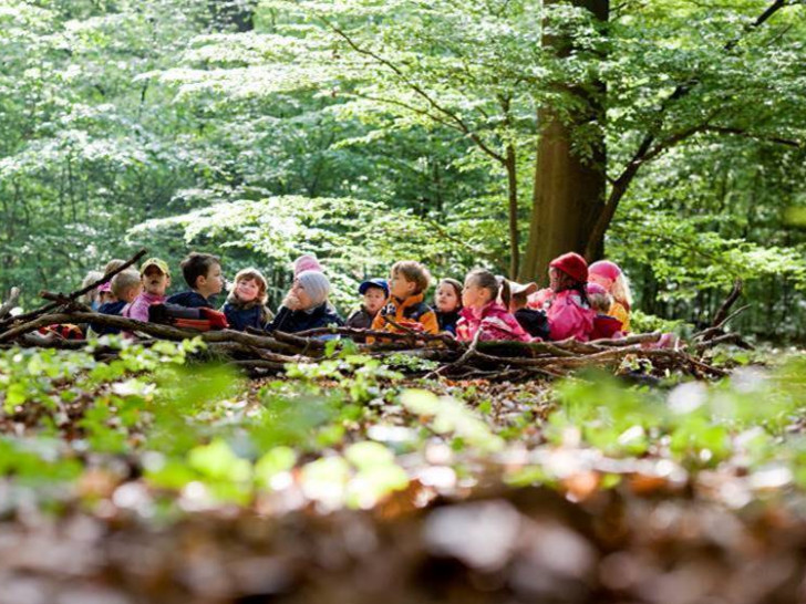 Schulkinder machen im Räuberwald nach einer Woche ihr Forscher-Diplom.