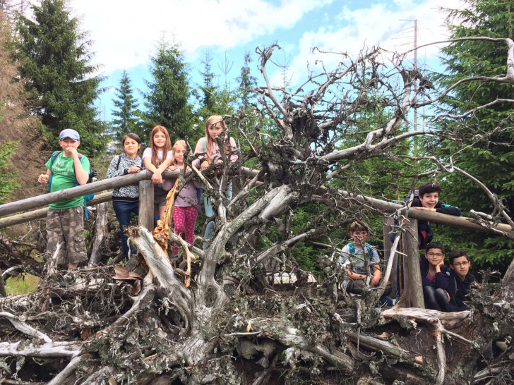 Neun neugierige Naturdetektive erkundeten in einer Ferienwoche des Freizeitheims Detmerode Wolfsburg und Umgebung.