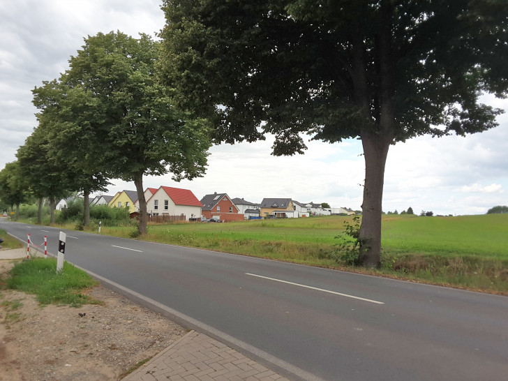 Die Baufläche für den bezahlbaren Wohnraum in Flechtorf.