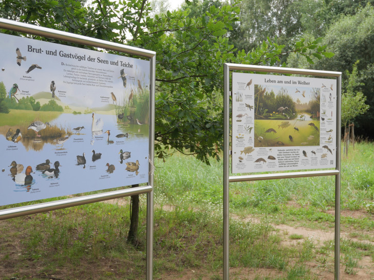Die neuen Hinweisschilder am “Teichpfad” geben Aufschluss über die im und am Teich lebenden Tiere.   