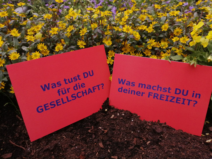 Die Postkarten liegen an vielen Stellen im Landkreis aus.