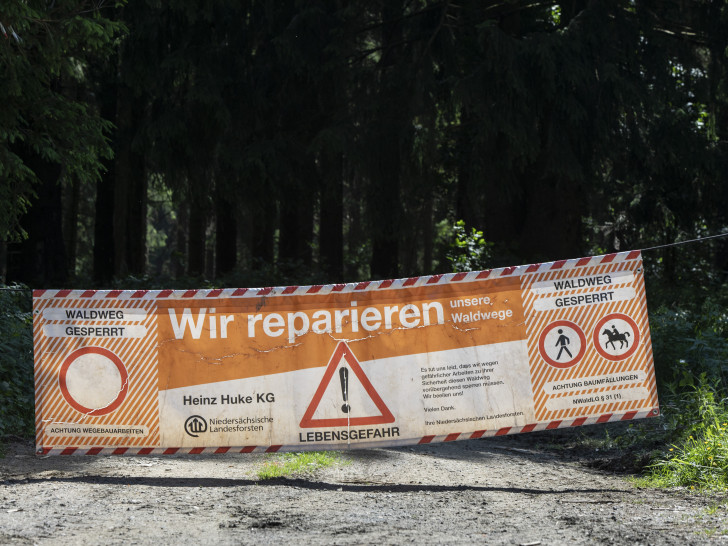 Die Waldwege sollen saniert werden.