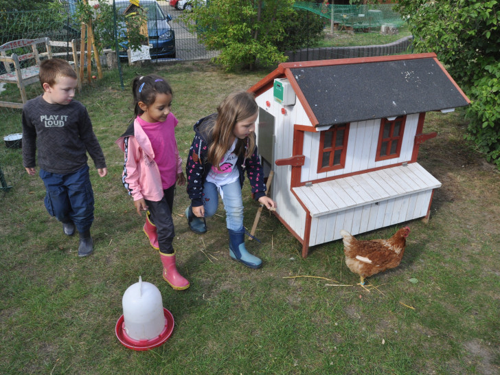 Die Löwenzahn-Kinder Max, Mila und Melisa freuten sich über den Besuch der Hühnerbande. 