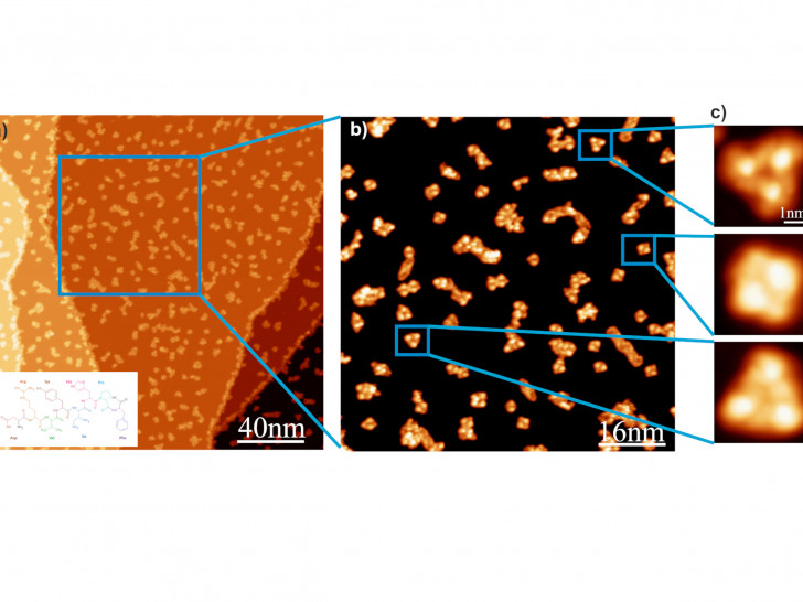 Eines der Bilder die vielleicht bald eine künstliche Intelligenz auswertet: Das Rastersondenmikroskop STM zeigt die Anordnungen von Peptidhormonen auf einer kristallinen Kupferoberfläche.