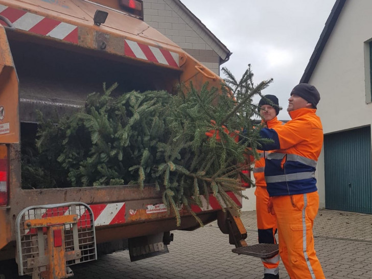 Kevin Koch (hinten im Bild) und Thorsten Niggemann holen die Weihnachtsbäume ab.