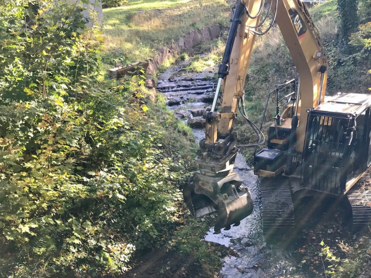 Die Abzucht wird in den kommenden Wochen ertüchtigt.