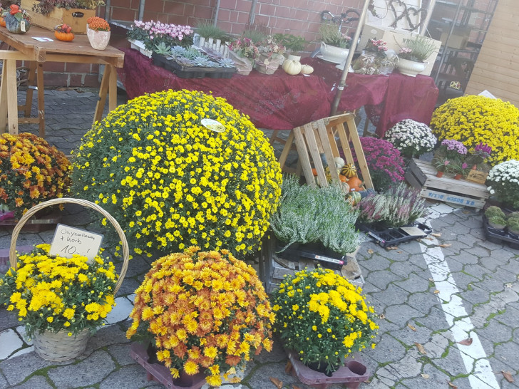 Der Herbstliche Kunsthandwerkermarkt findet am 9 und 10. Oktober rund um die Börnekenhalle Lehre statt.