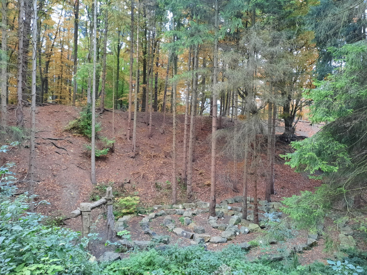 Durch den Borkenkäfer ist es zu schweren Forstschäden im Karl-May-Tal gekommen.