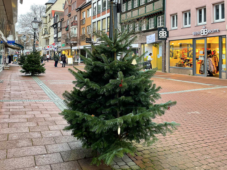 Die Nordmanntannen in der Weihnachtsstadt Peine sind am 23. Dezember ab 14 Uhr gegen eine Spende erhältlich.