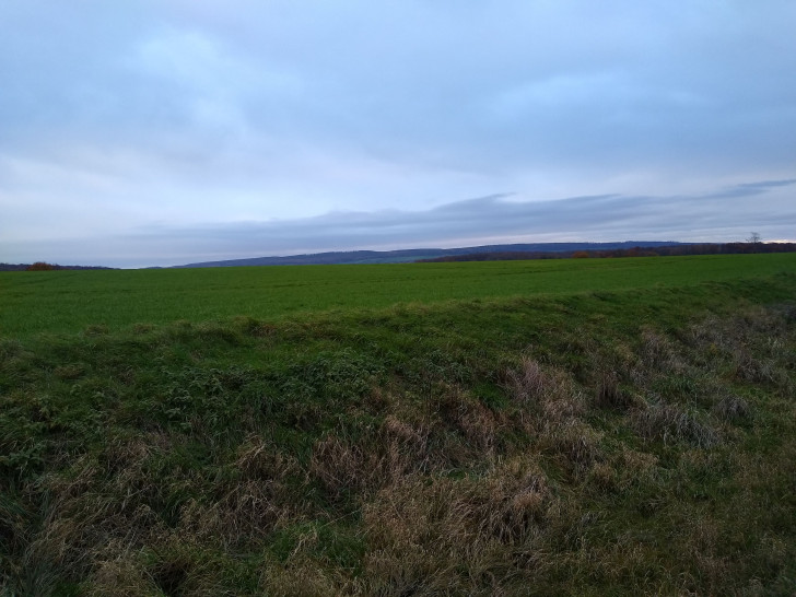 Ein Teil des Geländes, auf dem ein Gewerbegebiet entstehen soll.