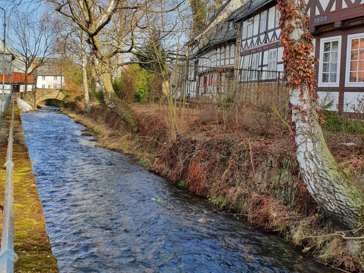 Wenn Bäume wie diese Erlen zu weit ins Bett der Abzucht hineinwachsen, behindern sie bei einem Hochwasser den Wasserfluss.