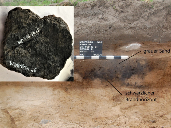 Die Ausgrabungsstätte in den Steimker Gärten und die über 2.000 Jahre alte Keramikscherbe.