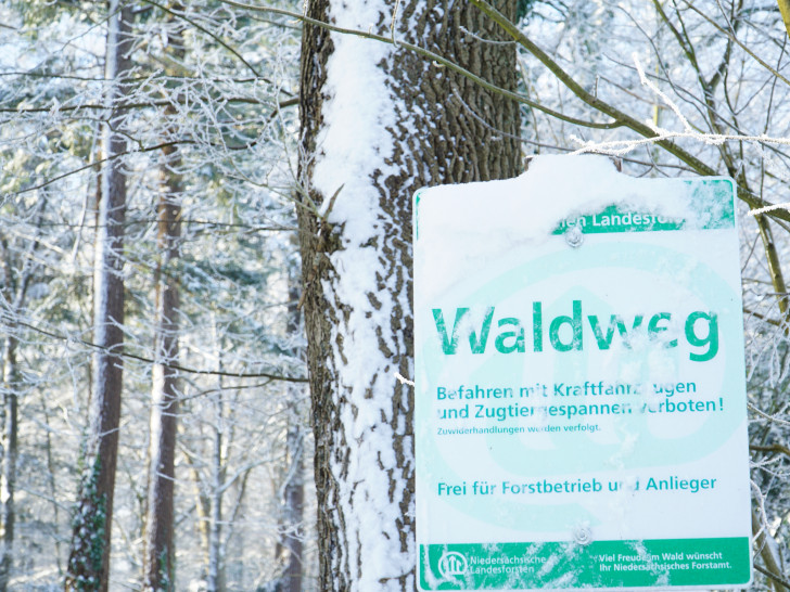 Verschneites Waldeingangsschild. Försterinnen und Förster der Landesforsten bitten um Rücksichtnahme beim Waldbesuch.