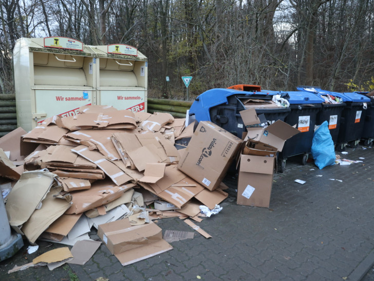 Aufgeräumtere Müllstationen würden bei der Bekämpfung der Ratten helfen. Das Foto wurde im Dezember am Pappeldamm aufgenommen.