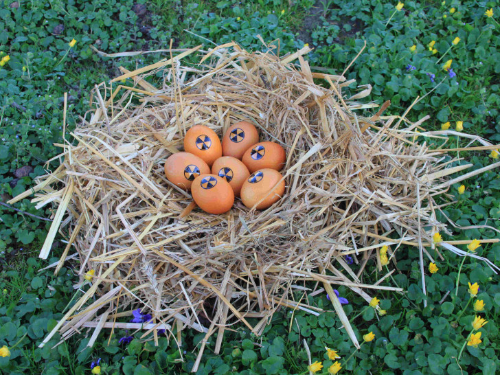 Trotz ihres Aussehens könnten die Eier nach dem Finden bedenkenlos verzehrt werden. 