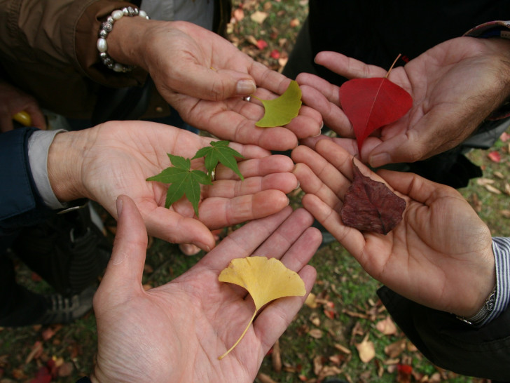 Symbolfoto
