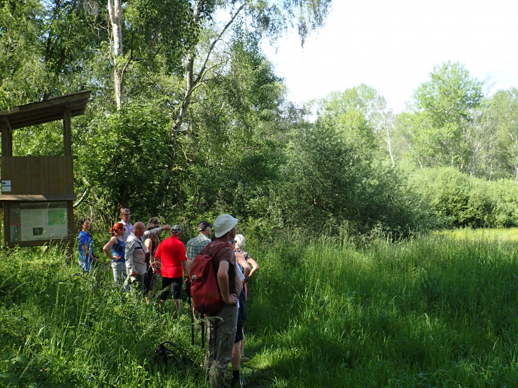 Im Naturschutzgebiet Lutterlandbruch gibt es einiges zu entdecken. 