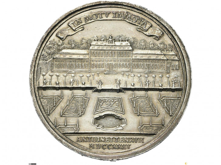 Die Münzen können dann online angesehen werden.