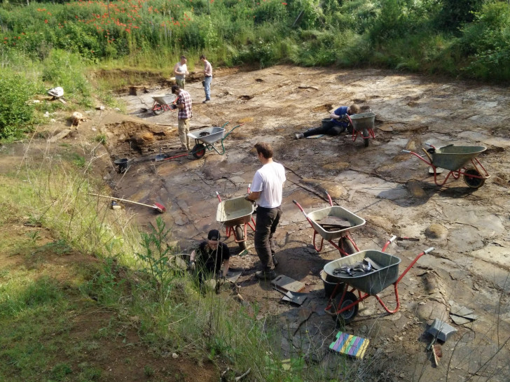 In Handarbeit werden die Schieferplatten im Geopunkt Jurameer nach Fossilien abgesucht.