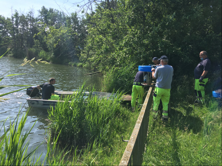 Ausbringen der Teichbelüfter am Mühlenteich.
