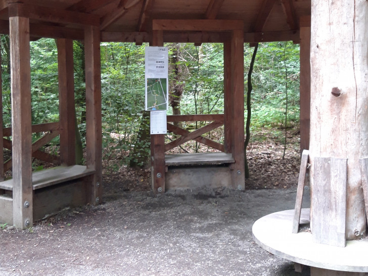 Am Arboretum geht es los. 