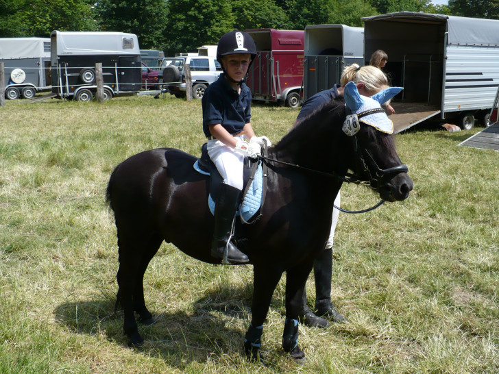 Pony Johannes, dass auch auf Turnieren mit unterwegs war.