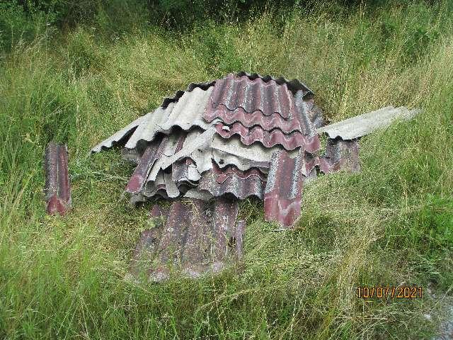 Diese Platten wurden einfach im Wald entsorgt. 