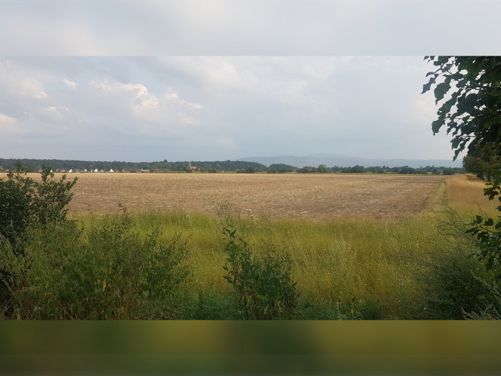 Nur einen Steinwurf von der Wohnbebauung (im Hintergrund zu sehen) soll hier Kies abgebaut werden. 