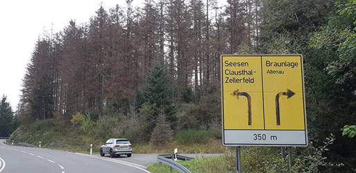 Auf 2.500 Meter Länge Totalschäden an der B498: Die Bundestraße bleibt  drei Wochen lang voll gesperrt. Die Landesforsten beseitigen Borkenfichten  beidseitig der Straße zwischen Riefensbeek und Kreuzung Harzhochstraße