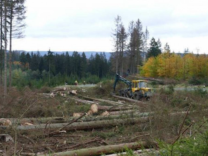 Am Harzer-Hexen-Stieg finden ab der kommenden Woche Forstarbeiten statt.