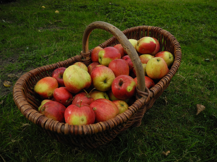 Die eigene Apfelernte kann gespendet werden. (Symbolfoto)