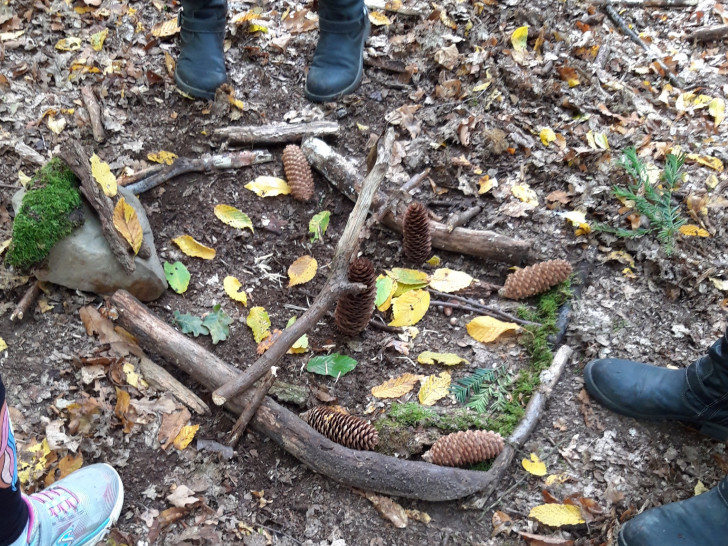 Stock und Stein, Zapfen und Zweige sammelten die Besucher des Herbstprogramms des NEST im Wald.