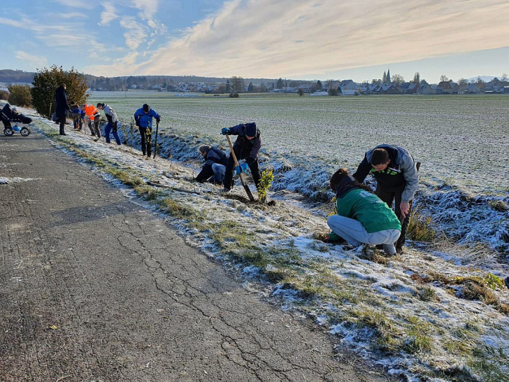 14 Helfer beteiligten sich am Samstag an der Hecken-Pflanzaktion in Dörnten.
