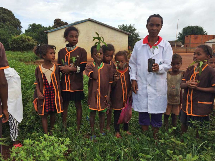 Der Verein Lovasoa betreibt eine eigene Grundschule in Madagaskar. Hier wurden Bäumchen gepflanzt.