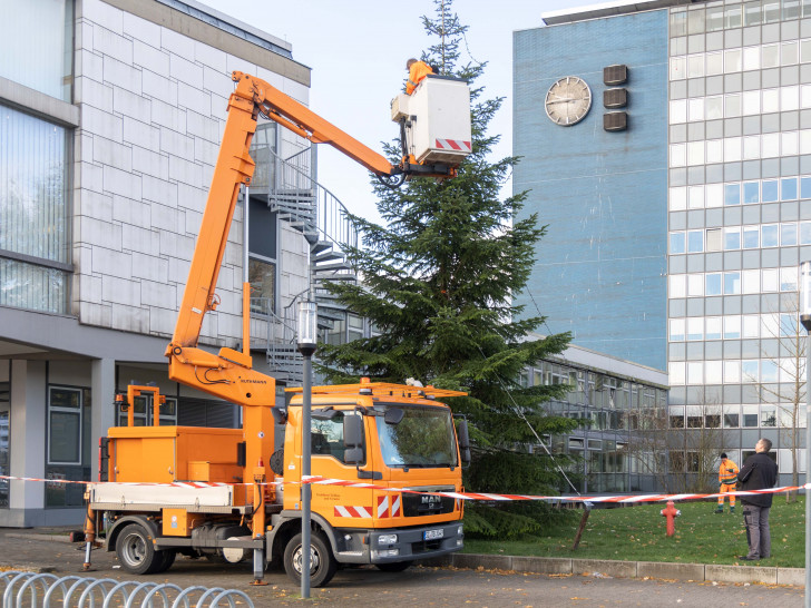 Der Weihnachtsbaum vor dem Rathaus in Salzgitter ist wohl etwas kleiner als sonst.