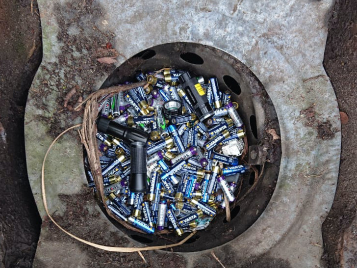 Rund 300 alte Batterien holte die SE|BS jetzt aus einem Gully in Schapen. Durch den schnellen Einsatz gelangen die Giftstoffe nun nicht in die Umwelt – sondern wurden fachgerecht entsorgt.
