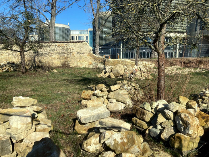 Die Arbeiten an der Klostermauer gehen voran. 