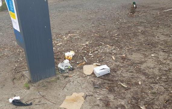 Die CDU kritisiert den baulichen Zustand der Müllbehälter im Naturschutzgebiet Riddagshausen.