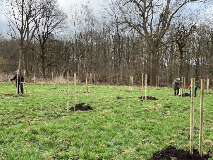  Auf einer Grünlandfläche der Forstgenossenschaft Dungelbeck wurden 21 verschiedene Obstbäume gepflanzt. 