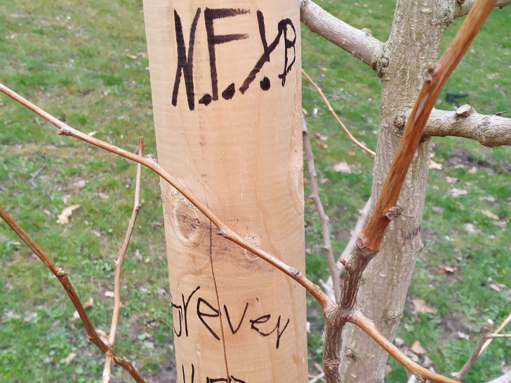 Die Stadt beklagt einen Fall von Vandalismus an jungen Bäumen.